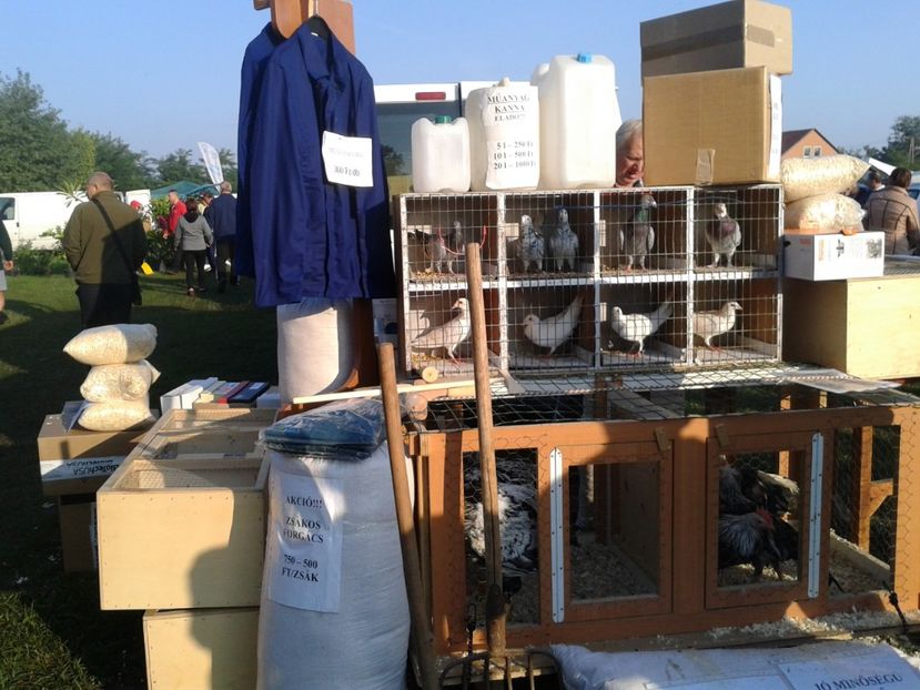 Fotografie0079 - 23---targ monor 10 09 2017