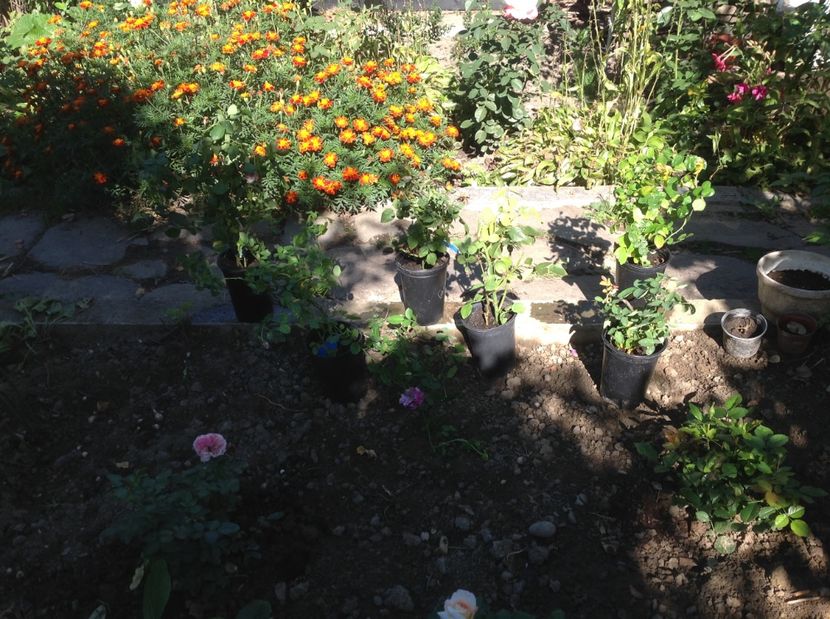  - Noi achiziții pt proiect comanda nr 2