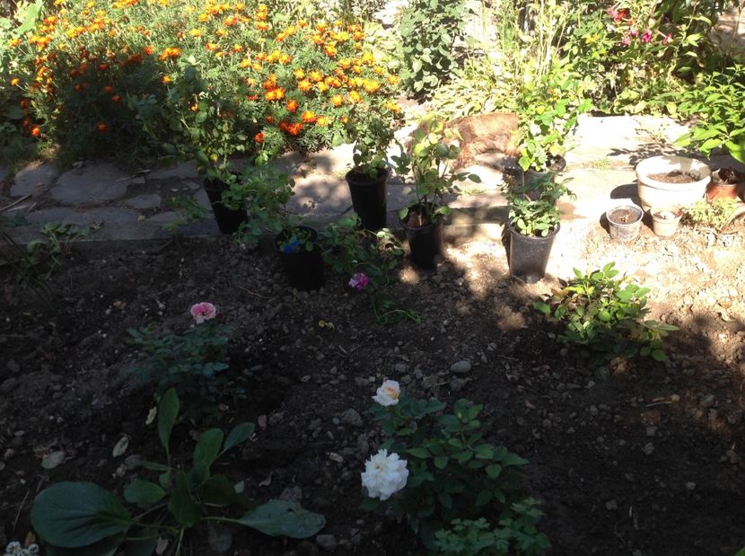  - Noi achiziții pt proiect comanda nr 2