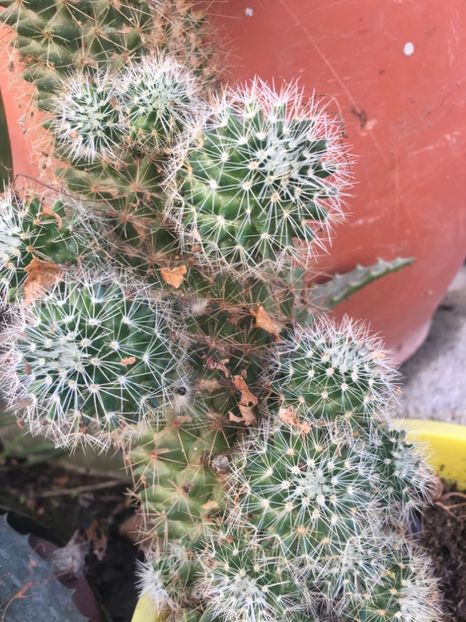  - Disponibile Noiembrie