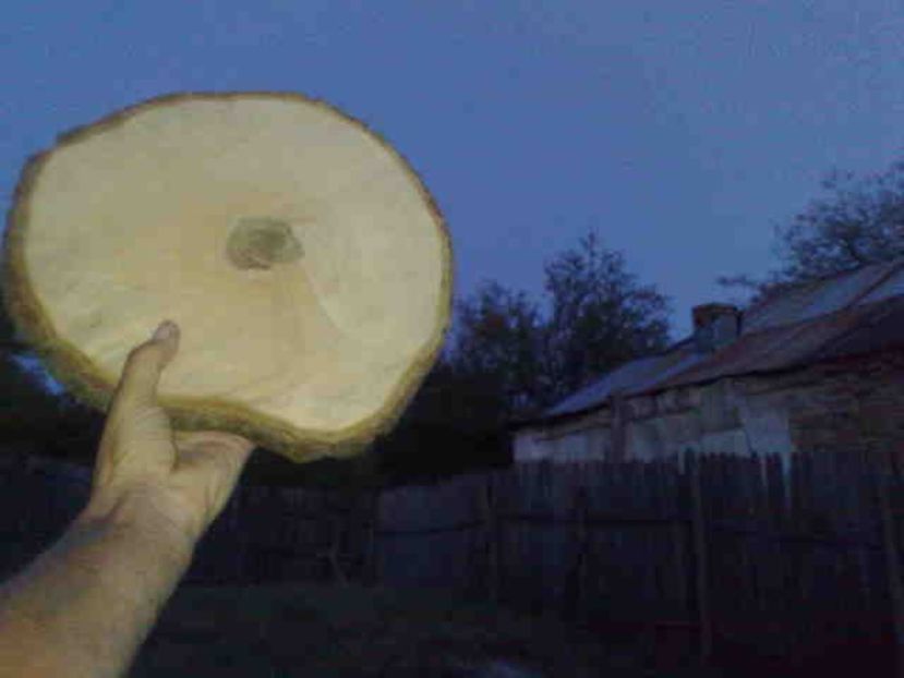 Lemn de nuc - Rustic caramida-imitatie-piatra-lemn