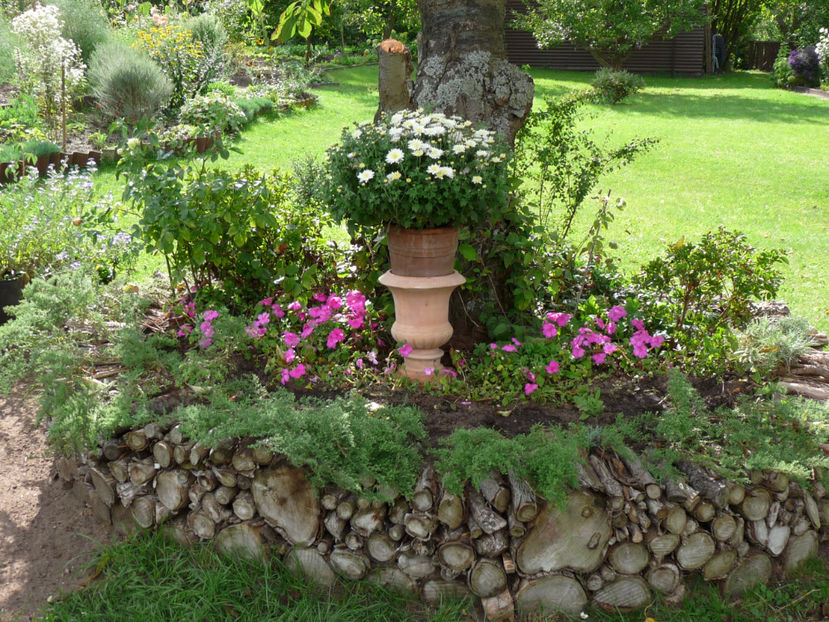  - 2017 - 03 - Toamna