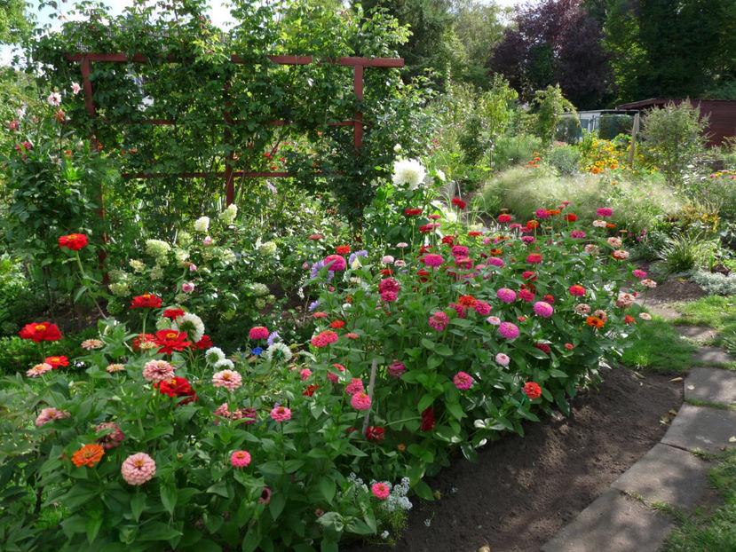  - 2017 - 03 - Toamna