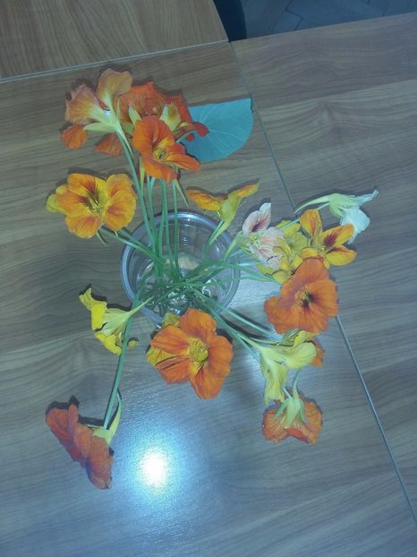  - Flori in vaza
