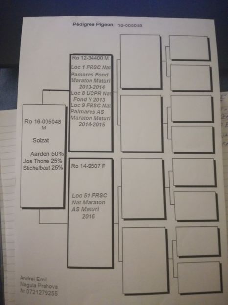  - 2017-pedigree Matca 2018