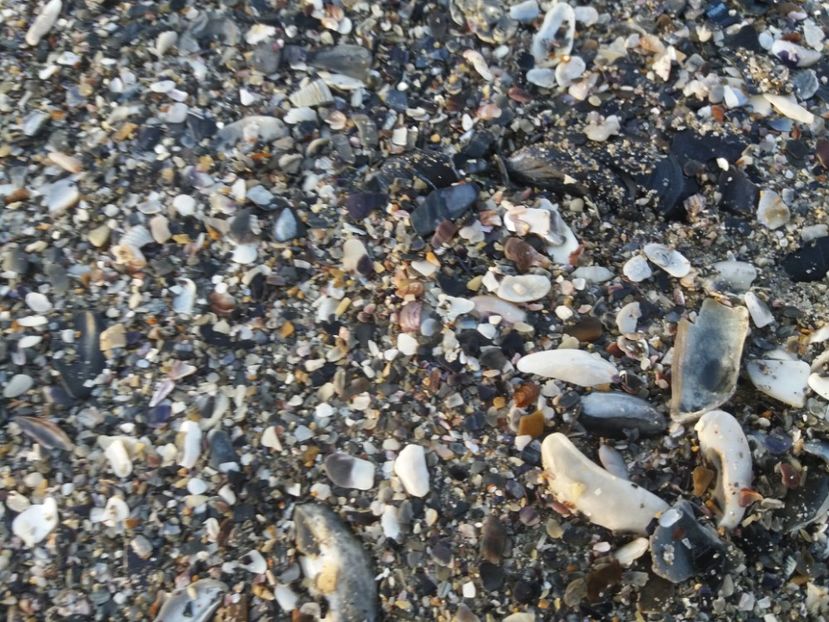  - Venus septembrie 2017