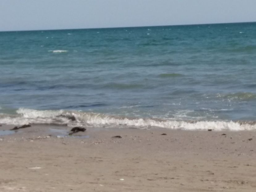  - Venus septembrie 2017