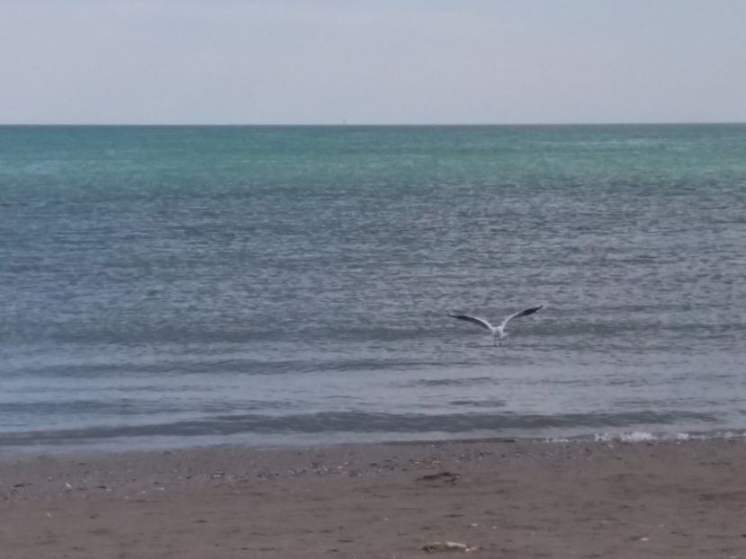  - Venus septembrie 2017