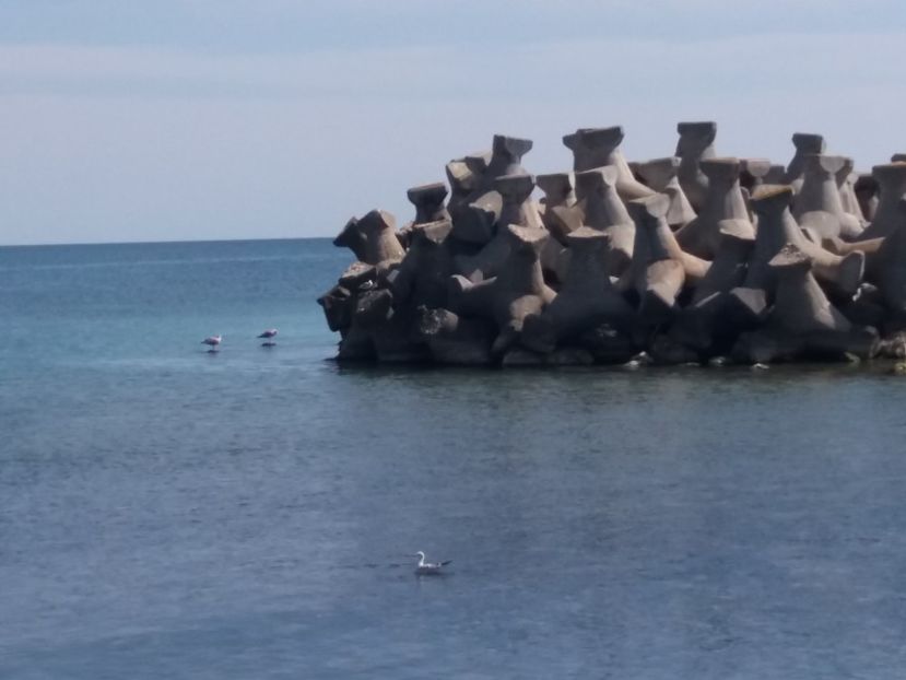  - Venus septembrie 2017