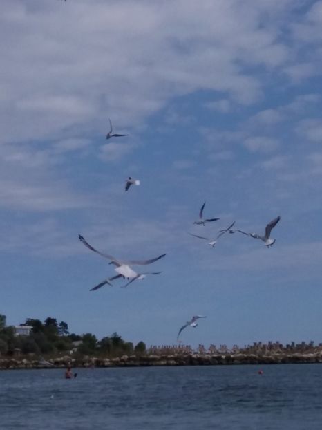  - Venus septembrie 2017