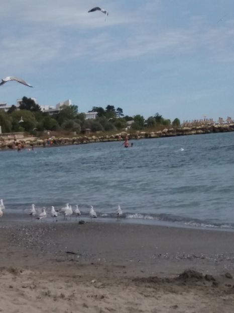  - Venus septembrie 2017