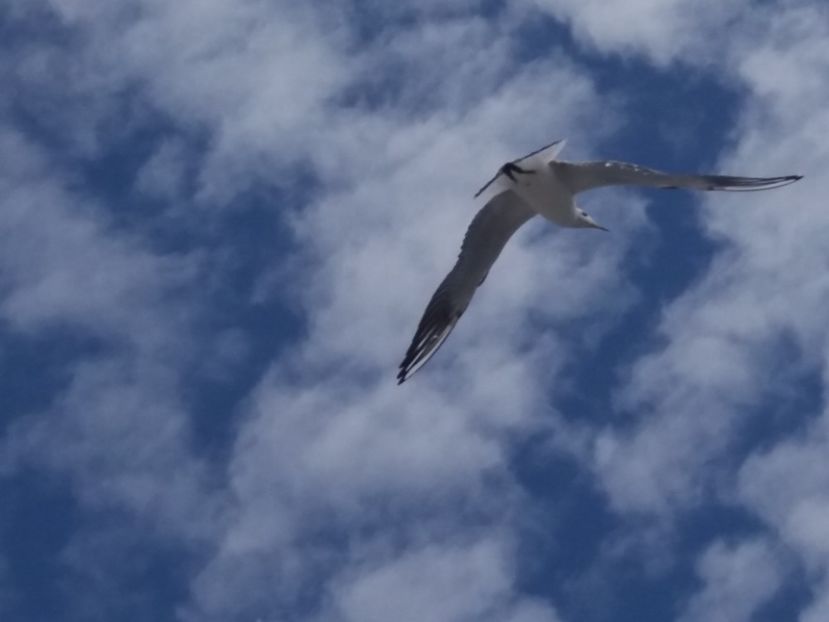  - Venus septembrie 2017