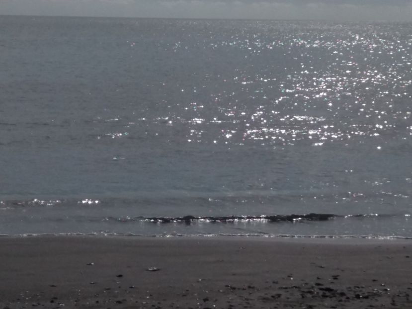  - Venus septembrie 2017