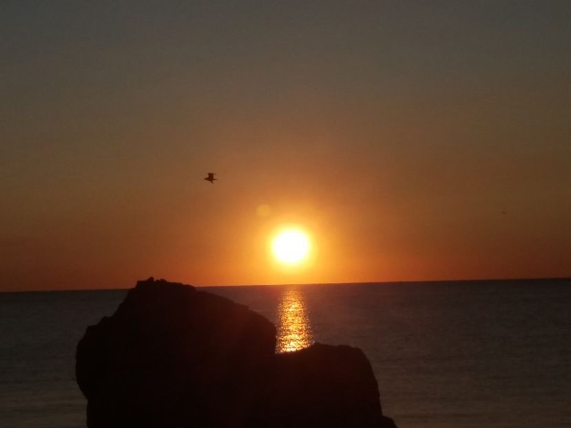  - Venus septembrie 2017