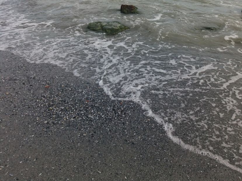  - Venus septembrie 2017