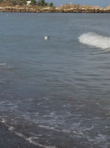  - Venus septembrie 2017