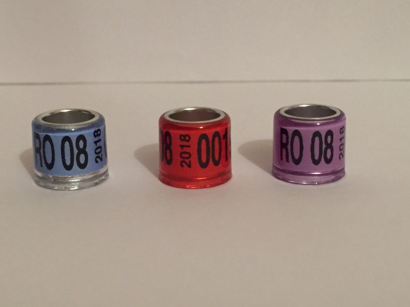  - Inele Porumbei Amatori 2018