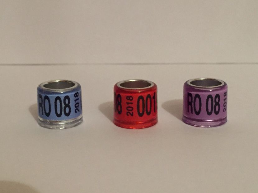  - Inele Porumbei Amatori 2018