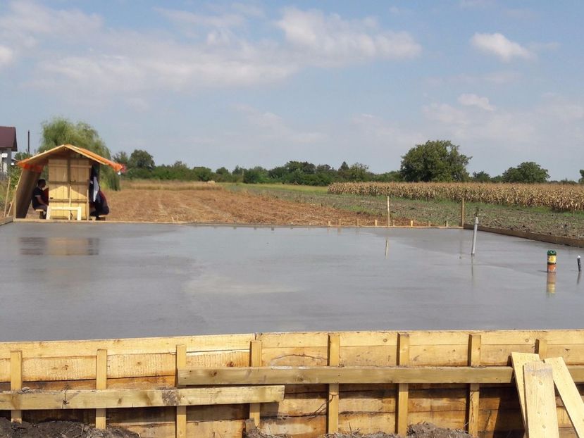 placa finalizata - Casa