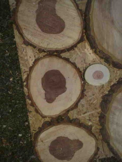  - Rustic caramida-imitatie-piatra-lemn