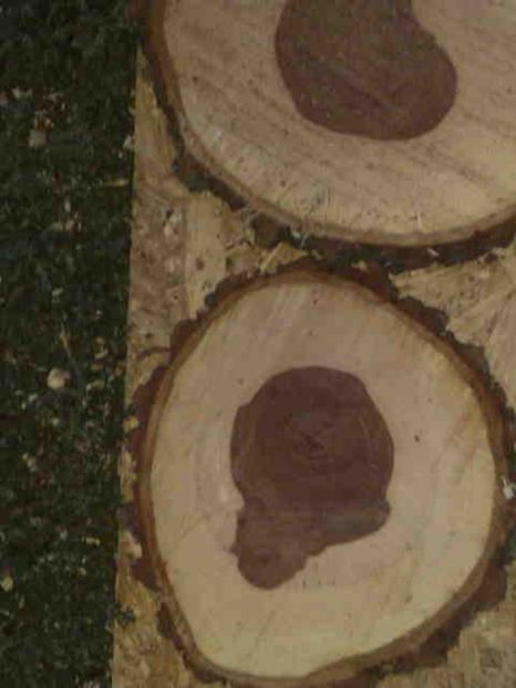  - Rustic caramida-imitatie-piatra-lemn