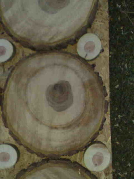 - Rustic caramida-imitatie-piatra-lemn