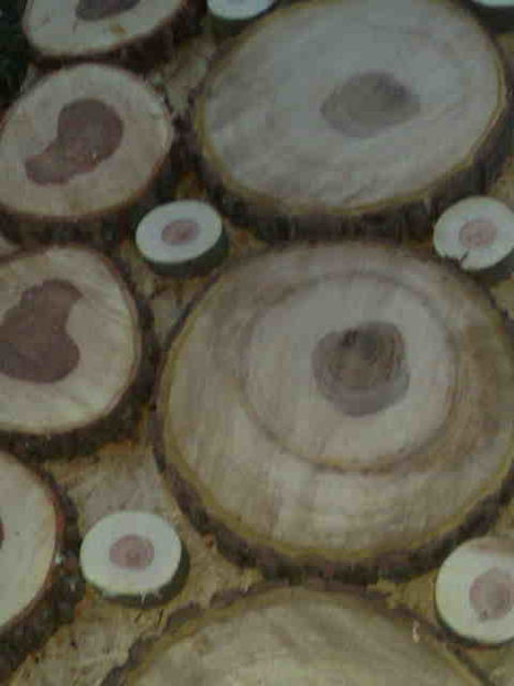  - Rustic caramida-imitatie-piatra-lemn