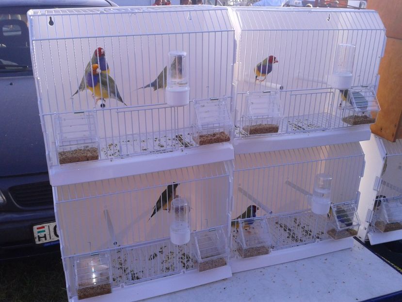 Fotografie0118 - 23---targ monor 10 09 2017