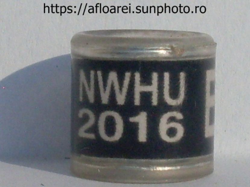 nwhu 2016 e - NWHU Welsh Homing Union