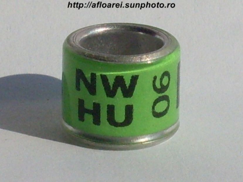 nwhu 06 - NWHU Welsh Homing Union