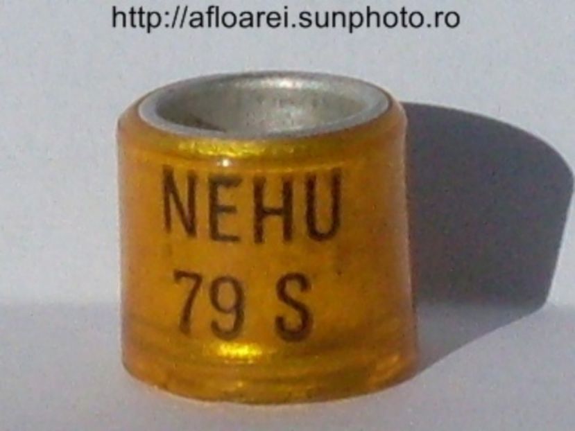 nehu 79 s - NEHU North East Homing Union