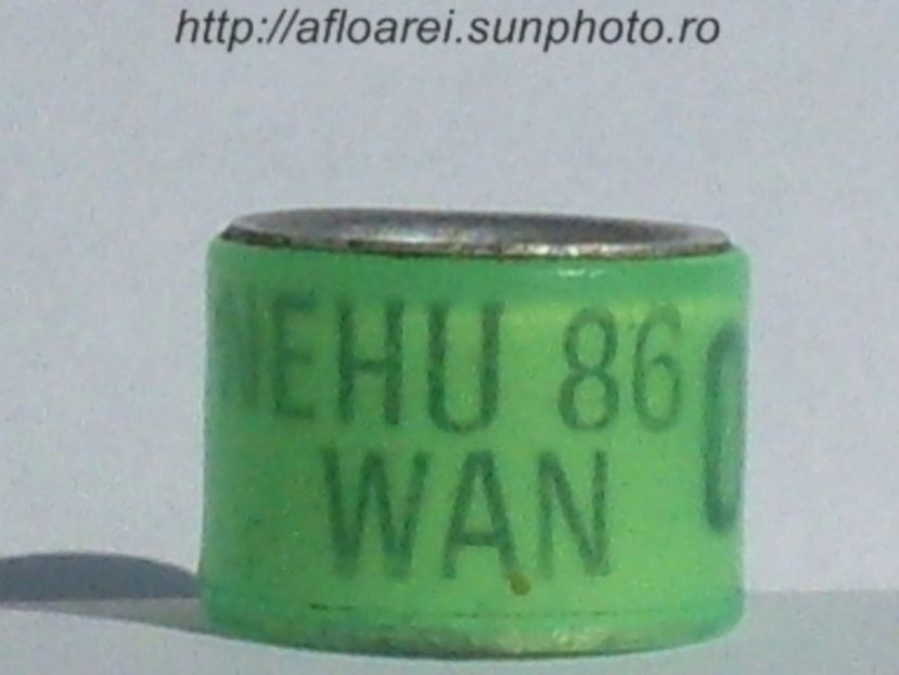 nehu 86 wan - NEHU North East Homing Union