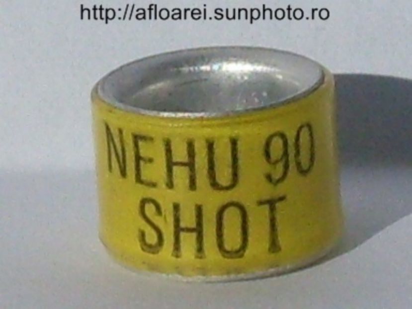 nehu 90 shot - NEHU North East Homing Union