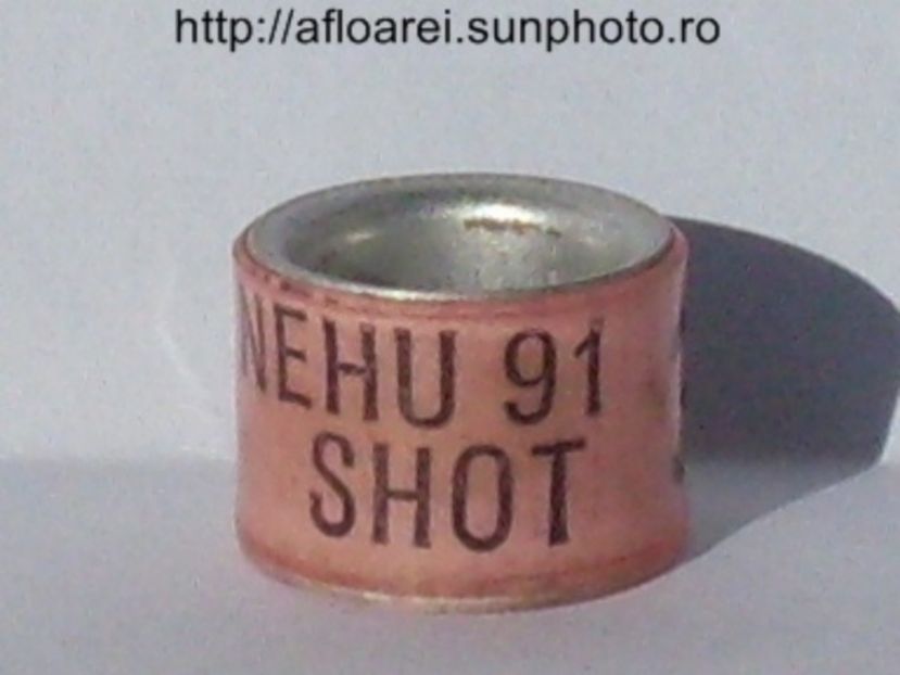 nehu 91 shot - NEHU North East Homing Union