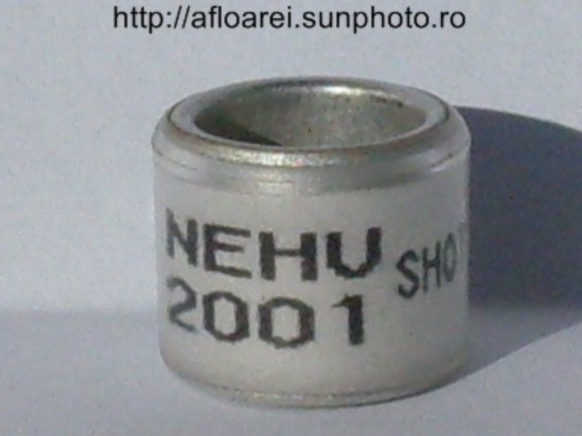 nehu 2001 shot - NEHU North East Homing Union