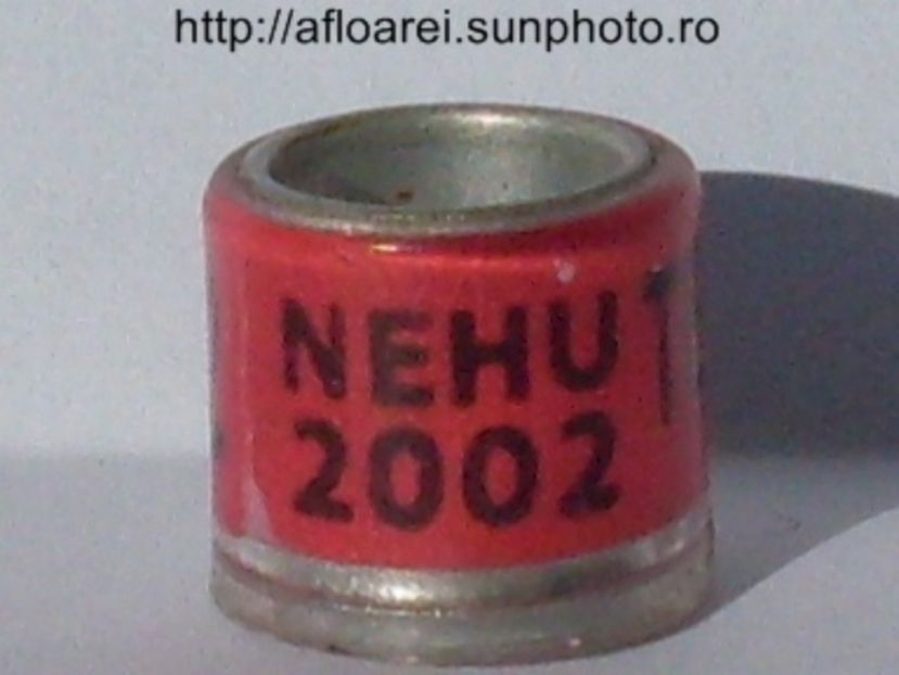 nehu 2002 tee - NEHU North East Homing Union