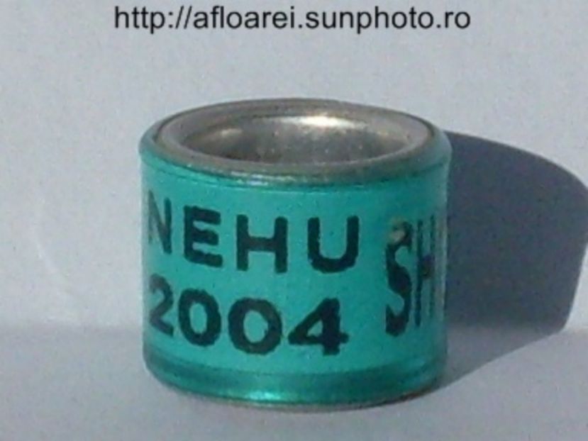 nehu 2004 shot - NEHU North East Homing Union