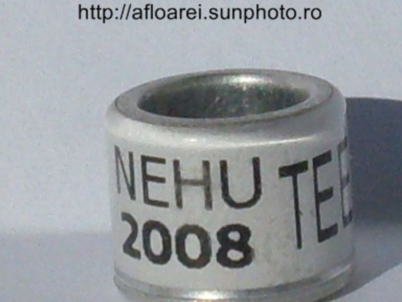 nehu 2008 tee - NEHU North East Homing Union