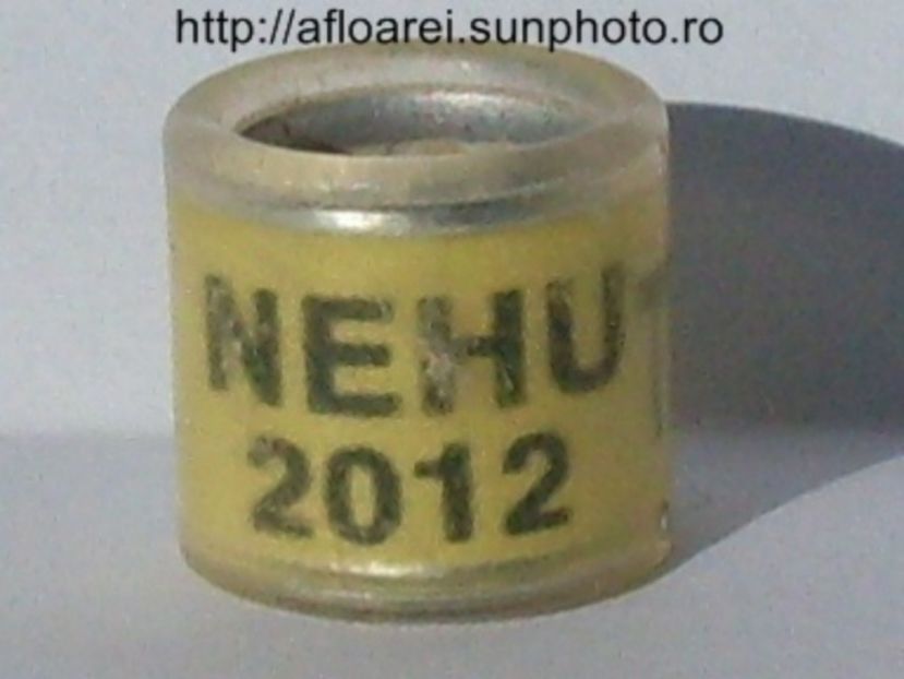 nehu 2012 tee - NEHU North East Homing Union
