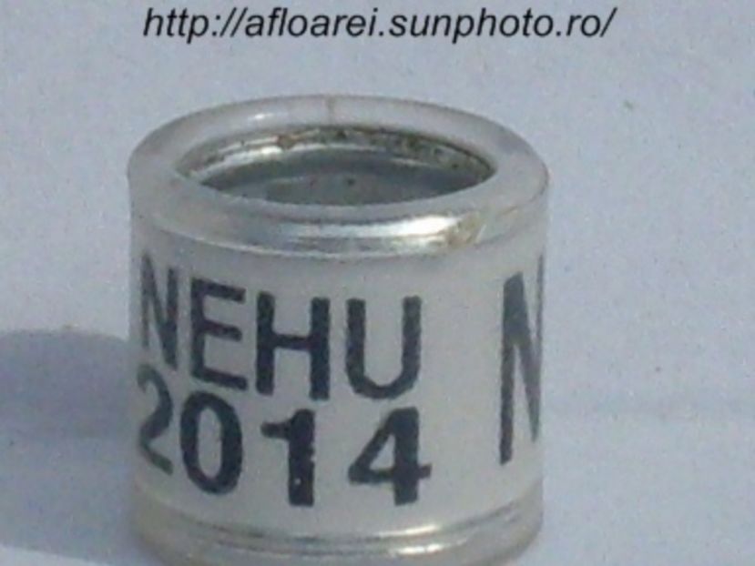 nehu 2014 n - NEHU North East Homing Union