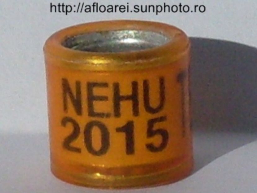 nehu 2015 tee - NEHU North East Homing Union