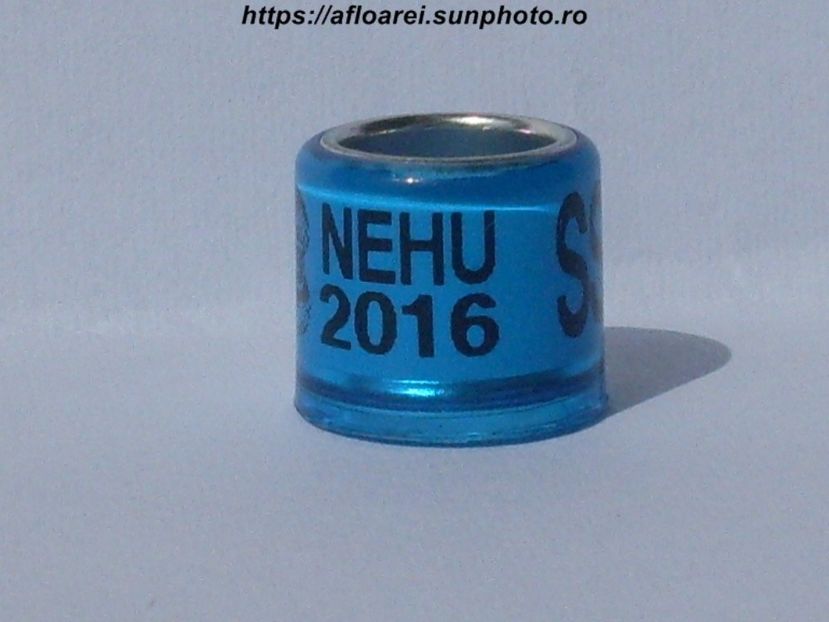 nehu 2016 ss - NEHU North East Homing Union