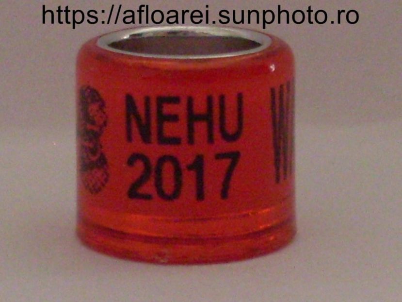 nehu 2017 wan - NEHU North East Homing Union