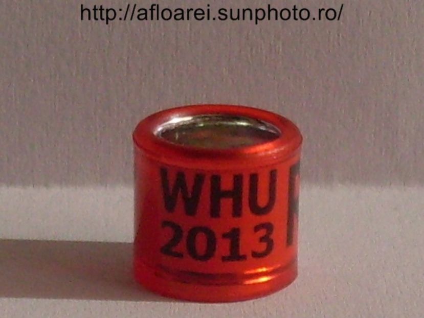 whu r 2013 - WHU Welsh Homing Union
