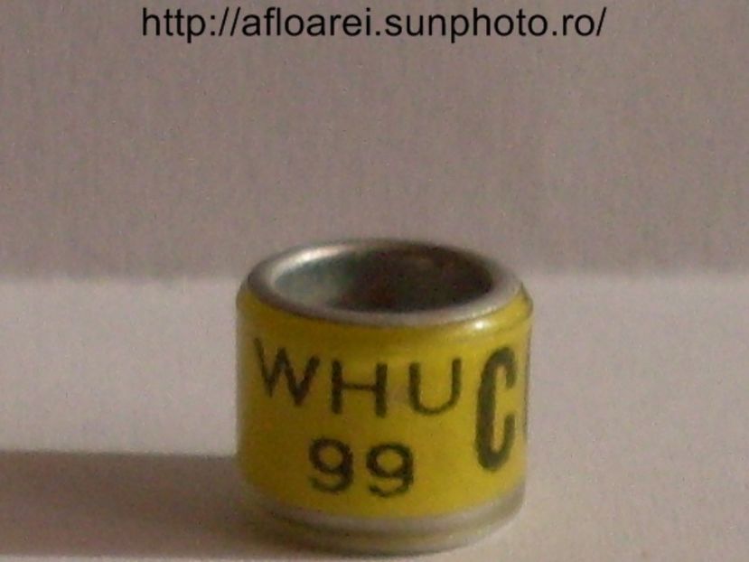 whu 99 c - WHU Welsh Homing Union