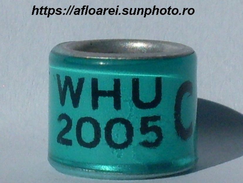 WHU 2005 C - WHU Welsh Homing Union