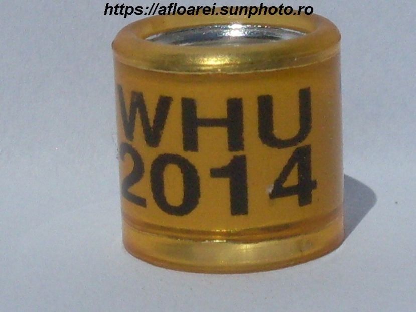 WHU 2014 T - WHU Welsh Homing Union