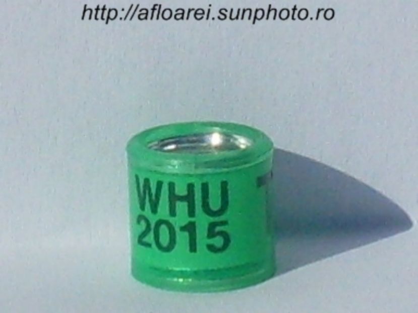 whu 2015 t - WHU Welsh Homing Union
