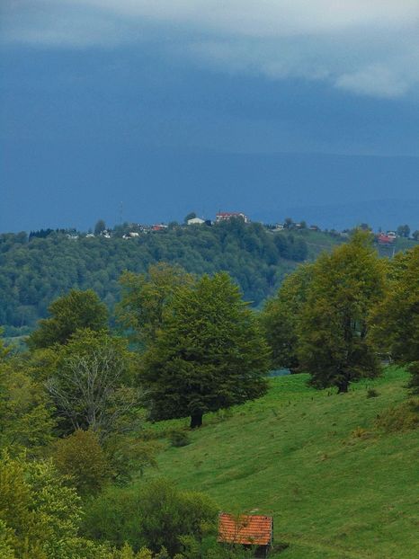  - Photo 03