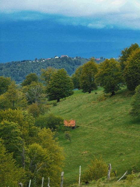  - Photo 03